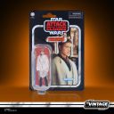 ANAKIN SKYWALKER (PEASANT DISGUISE) THE VINTAGE COLLECTION - STAR WARS - HASBRO