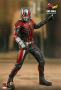 ANT-MAN 1/6 FIGURE - ANT-MAN & WASP - HOT TOYS