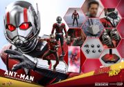 ANT-MAN 1/6 FIGURE - ANT-MAN & WASP - HOT TOYS