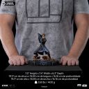 VOUCHER DE RESERVA ANAKIN SKYWALKER - STAR WARS: CLONE WARS - ART SCALE 1/10 - IRON STUDIOS
