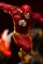 VOUCHER DE RESERVA FLASH - DC COMICS SERIES #9 - ART SCALE 1/10 - IRON STUDIOS