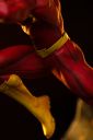 VOUCHER DE RESERVA FLASH - DC COMICS SERIES #9 - ART SCALE 1/10 - IRON STUDIOS