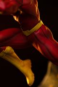 VOUCHER DE RESERVA FLASH - DC COMICS SERIES #9 - ART SCALE 1/10 - IRON STUDIOS