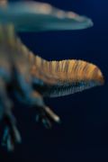 VOUCHER DE RESERVA SPINOSAURUS - JURASSIC WORLD: REBIRTH - ICONS - IRON STUDIOS