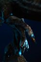 VOUCHER DE RESERVA SPINOSAURUS - JURASSIC WORLD: REBIRTH - ICONS - IRON STUDIOS