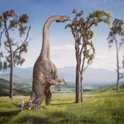 VOUCHER DE RESERVA WELCOME TO JURASSIC PARK (SPECIAL EDITION) - JURASSIC PARK - DEMI SCALE 1/20 - IRON